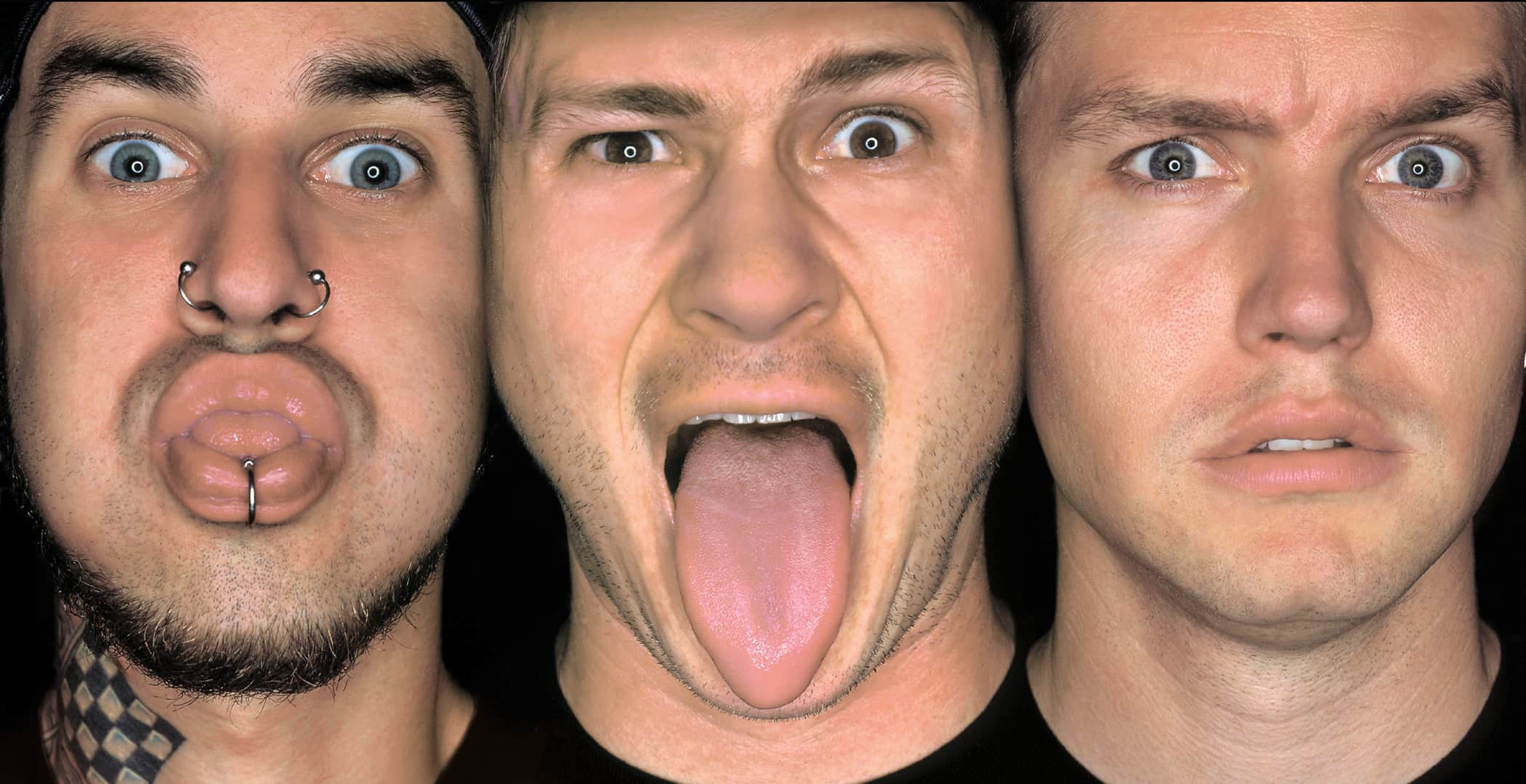 Blink 182 DPS Chart Magazine